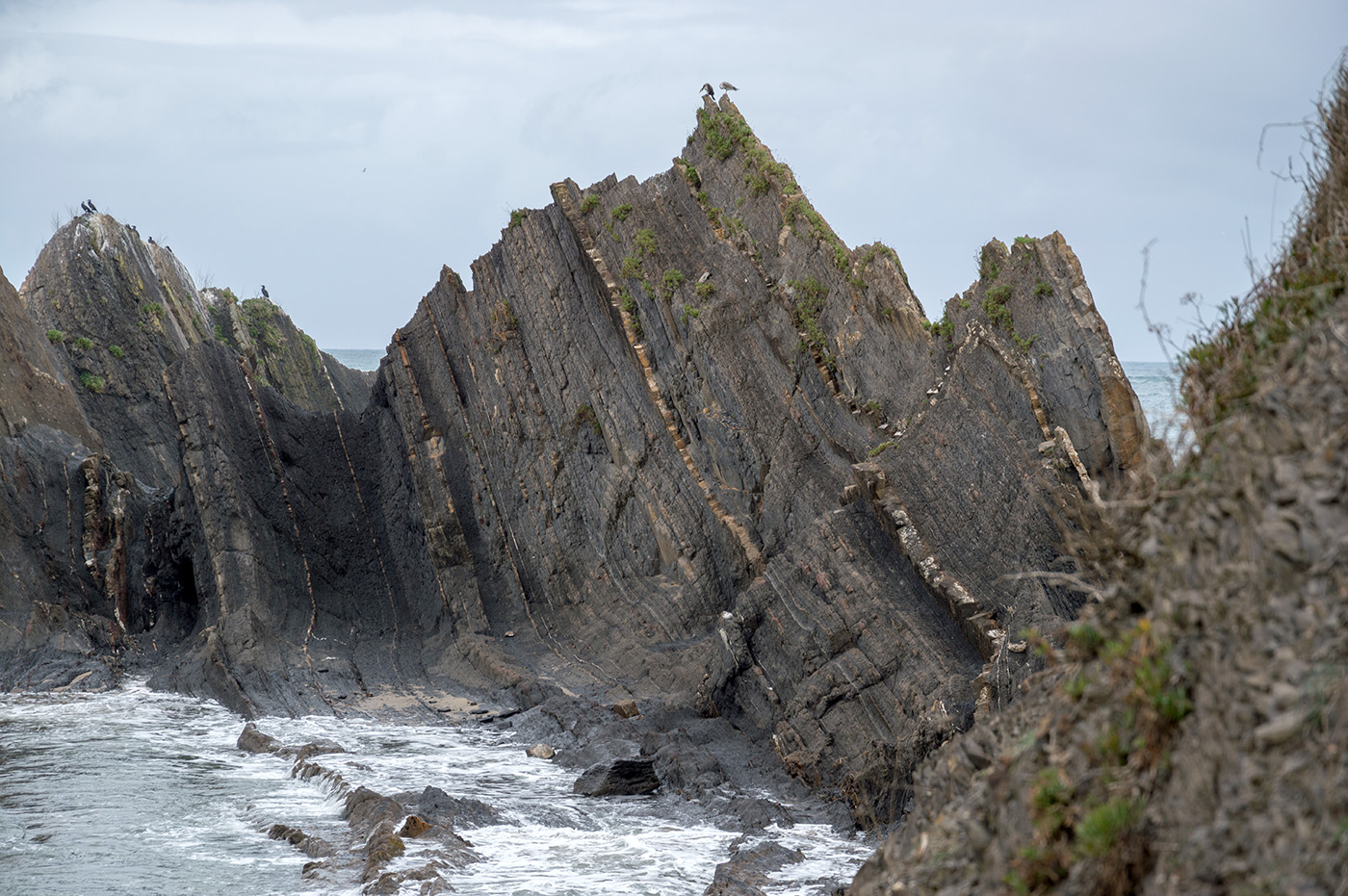 Flysch in Saturrarán