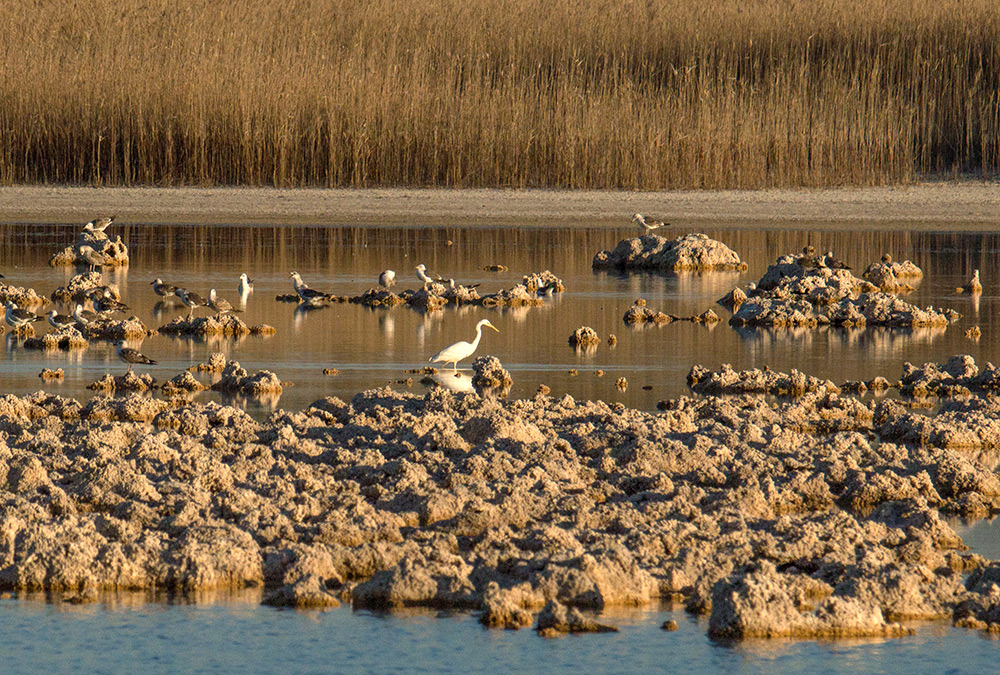Naturschutzgebiet Lagune de Villafranca
