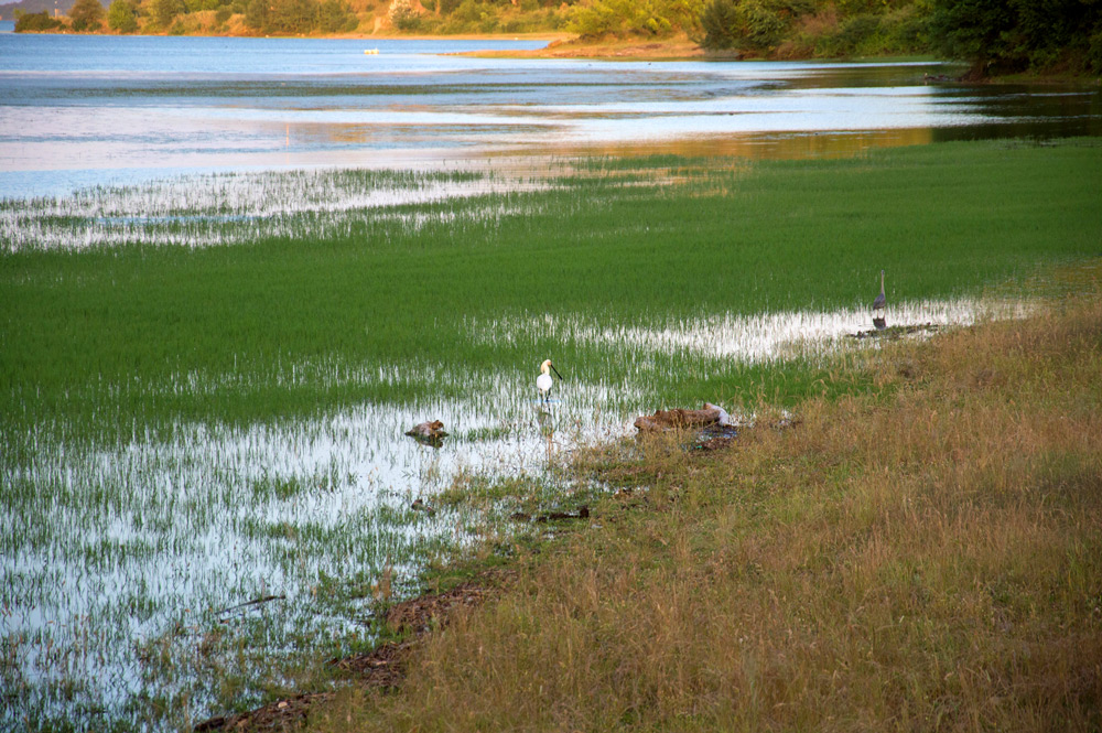Abends am Grossen Kerkinisee