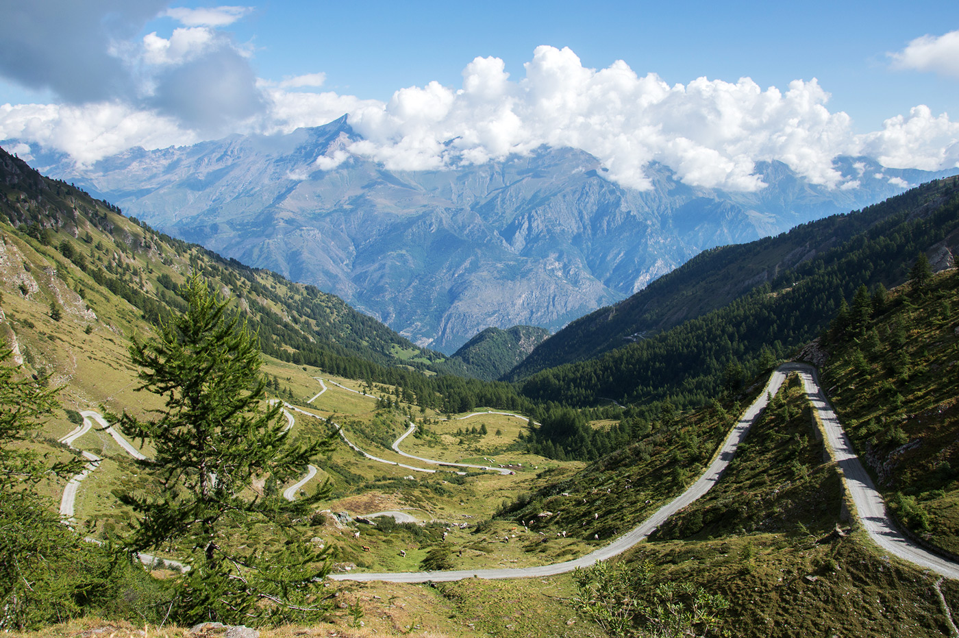 Anfahrt zum Colle de Finestre