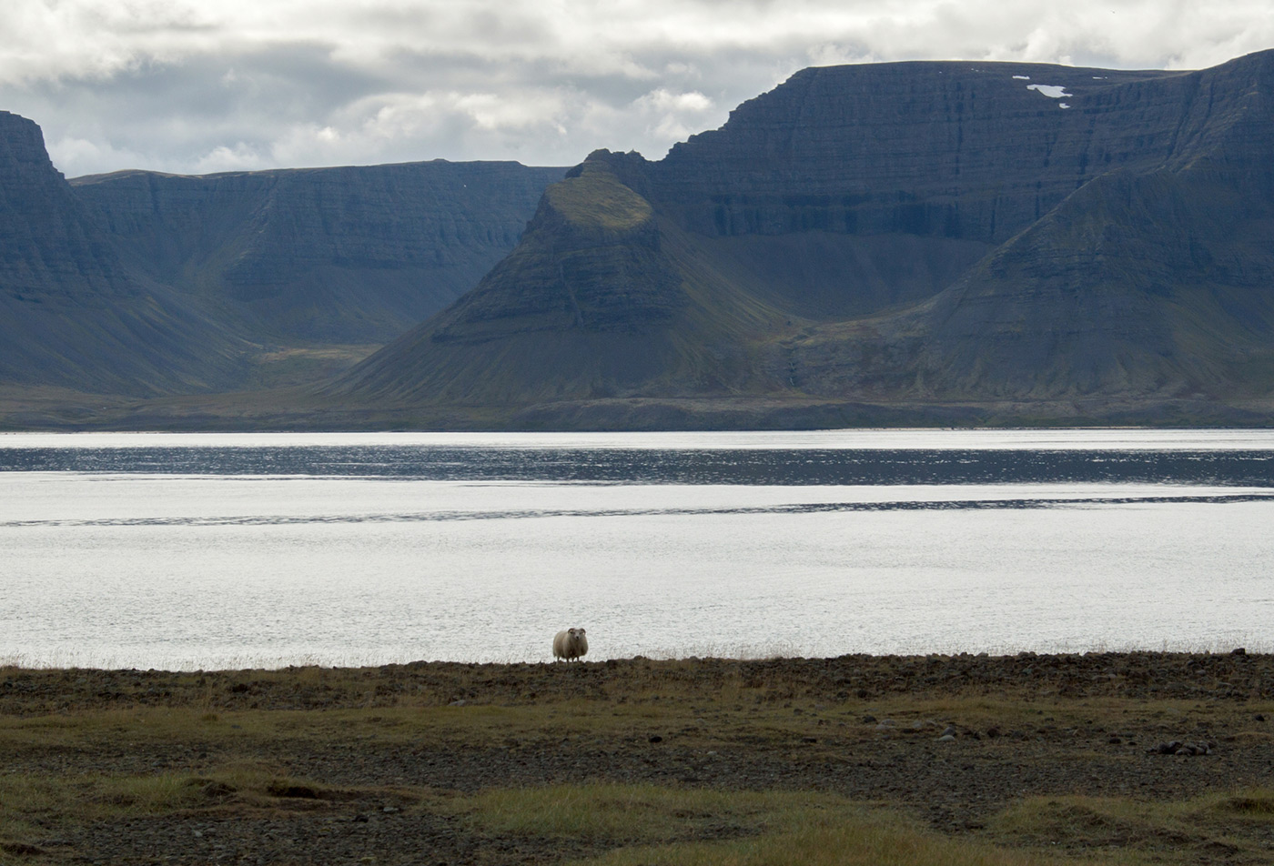 Blick über den Arnarfjörður 2