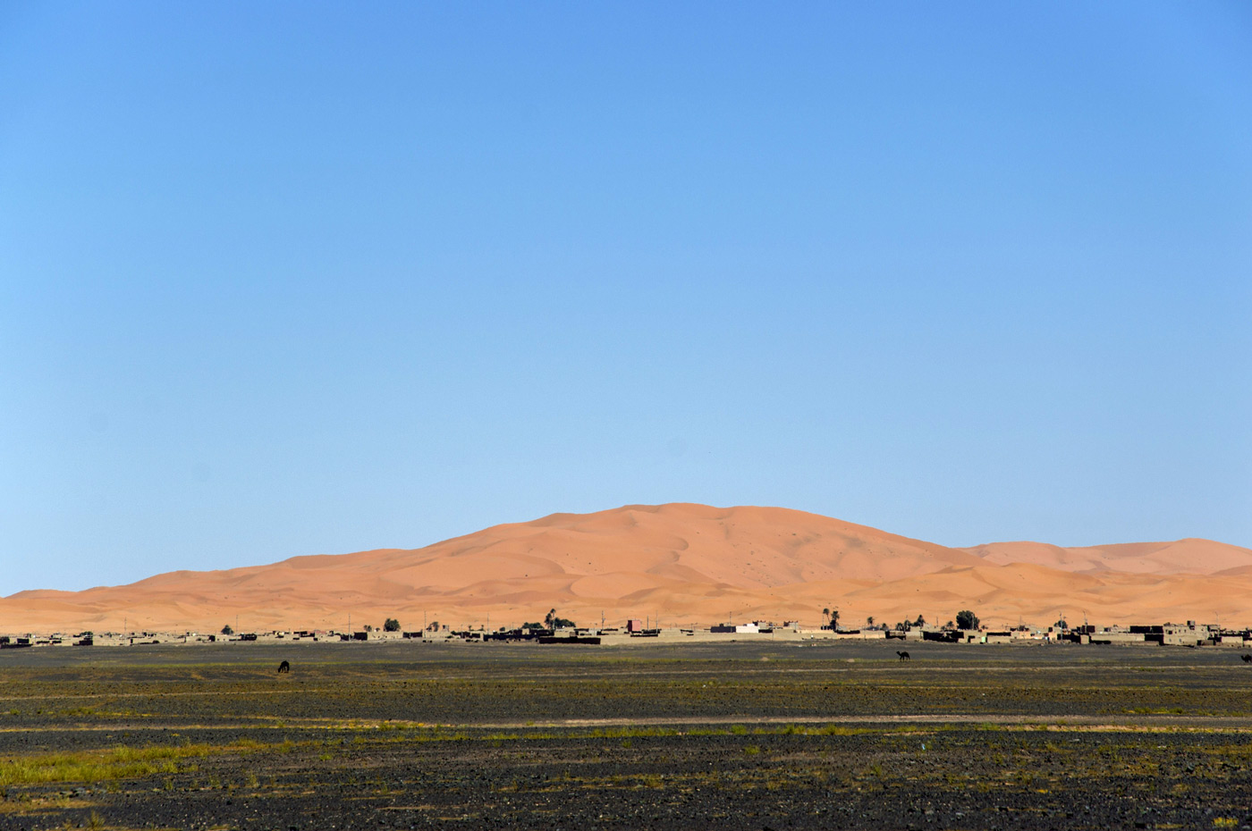 Dünen von Hassilabied