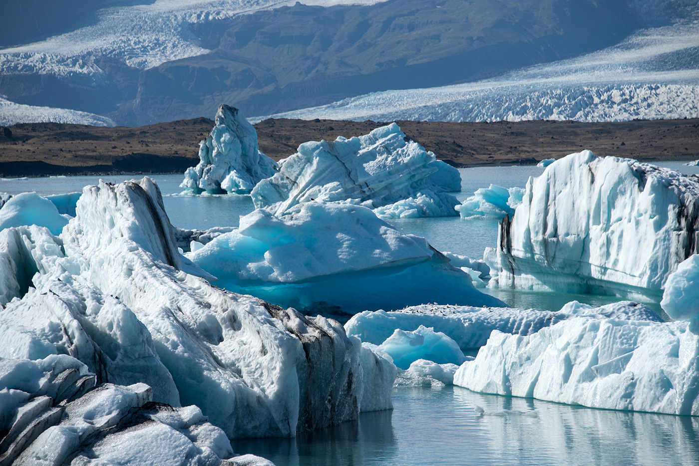 Lagune Jökulsárlón 5 Bild Falk Lorenz