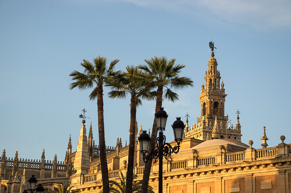  Die Giralda, das ehemalige Minarett und heutiger Glockenturm der Kathedrale
